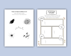 Power of Oops- Learning from Mistakes Printable Workbook